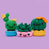 We'll Never Desert You Bundle