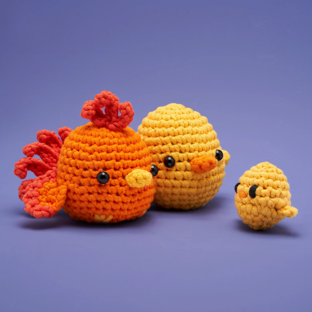 Birds of a Feather Bundle